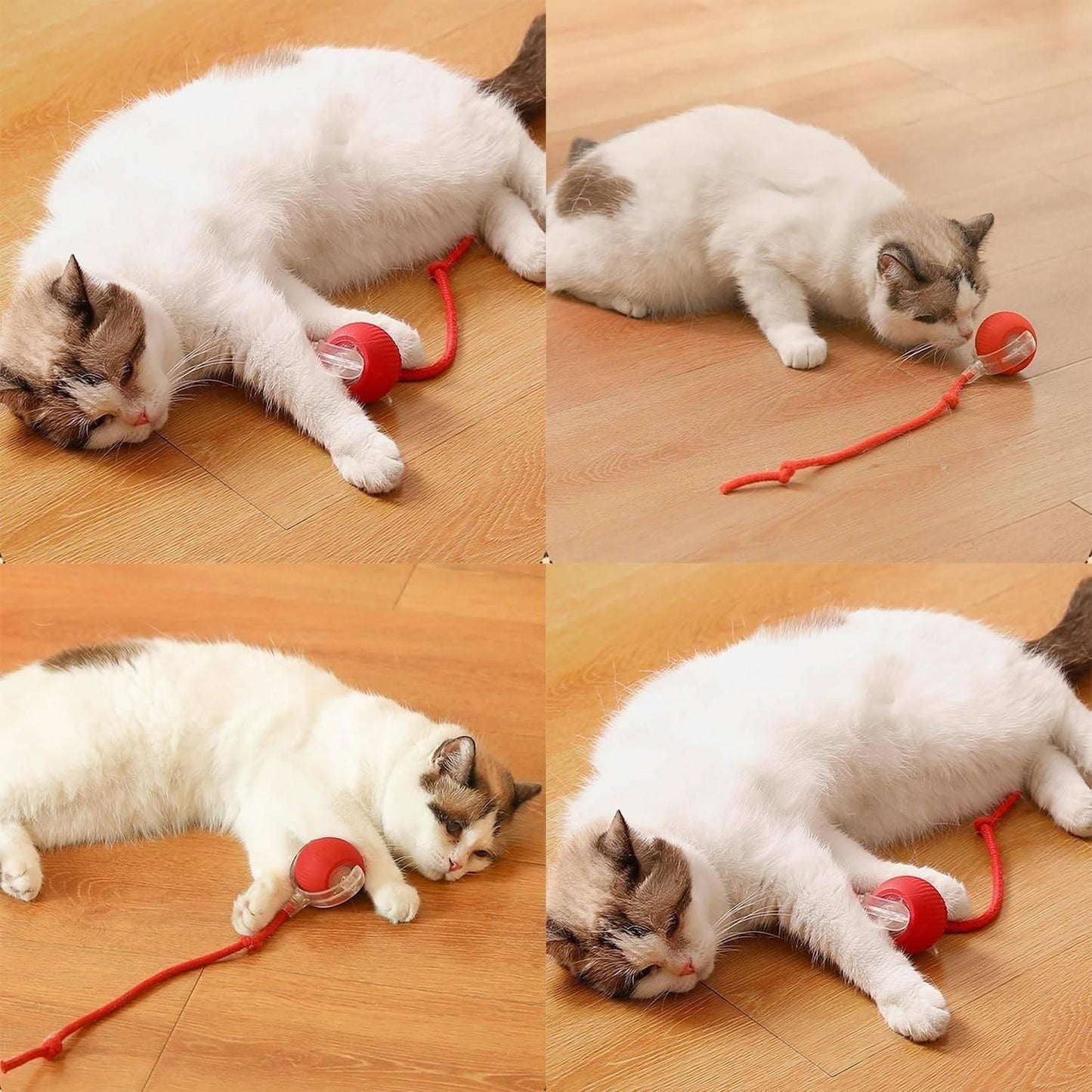 Rolling Ball - Interactive Cat Ball Toy