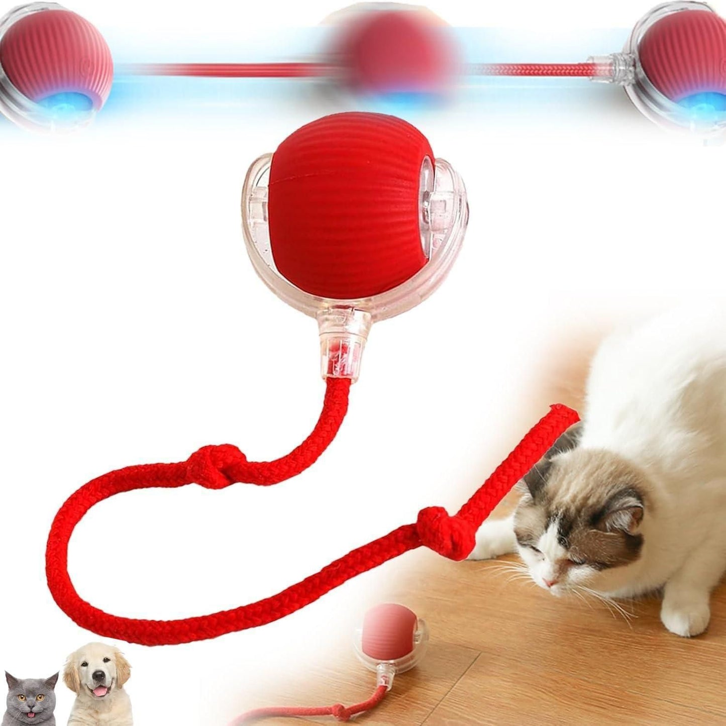 Rolling Ball - Interactive Cat Ball Toy